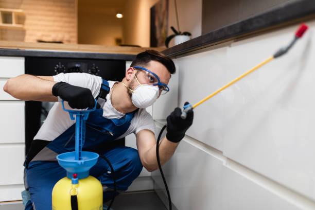 Pest Control for Restaurants in Kayak Point, WA