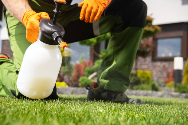 Best Rat Extermination Near Me  in Kayak Point, WA