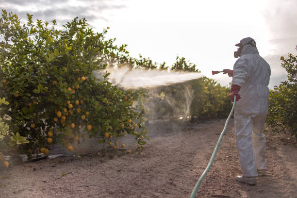 Kayak Point, WA Pest Control Company