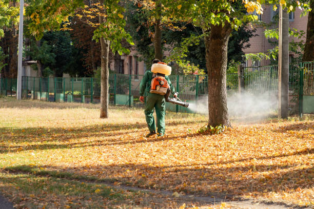 Best Wasp Removal Services  in Kayak Point, WA