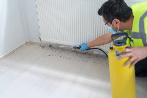 Best Exterminator Services  in Kayak Point, WA